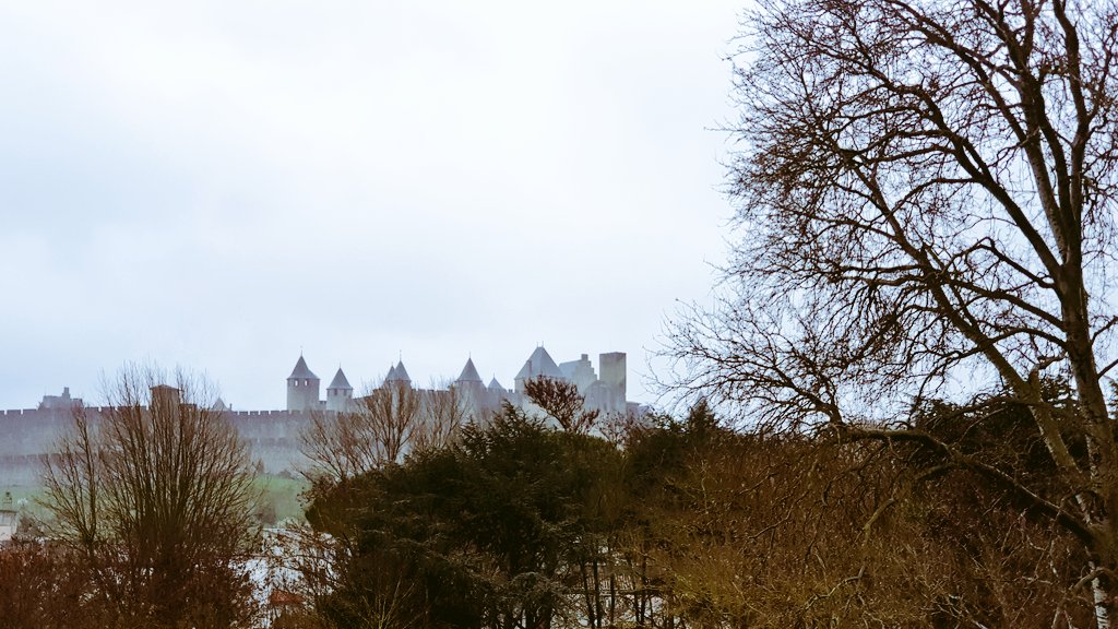 PicturesRenard's tweet photo. Carcassonne 
#photooftheday 
#photography 
#photo https://t.co/o6Mci47UBe