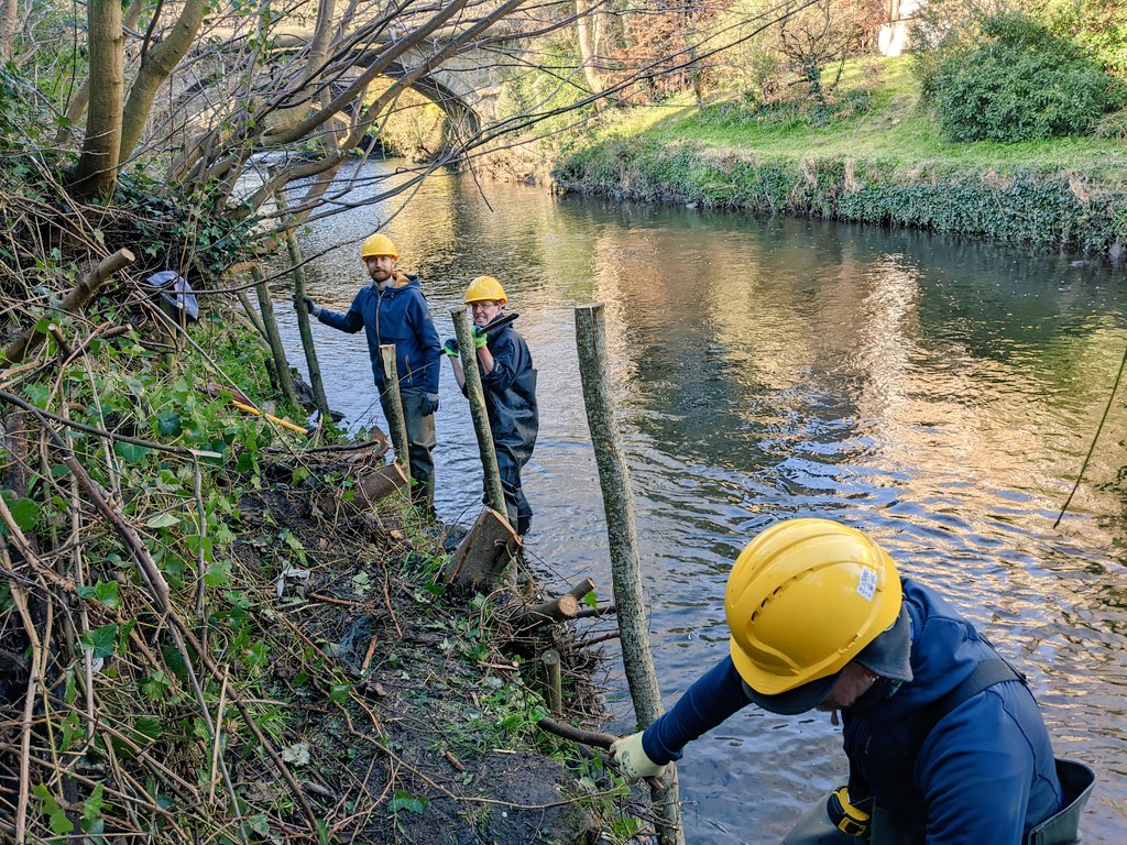 WOLCT's tweet photo. Sunny weather helped progress at the Spiling Job in #roseburn.  Living willow stakes are now in place and all rods tethered for weaving.  Can't wait to get wattling tomorrow !  @_EarthCalling_ #willow #workingtogether #traditionalskill #volunteers https://t.co/7IxH0jIXjk