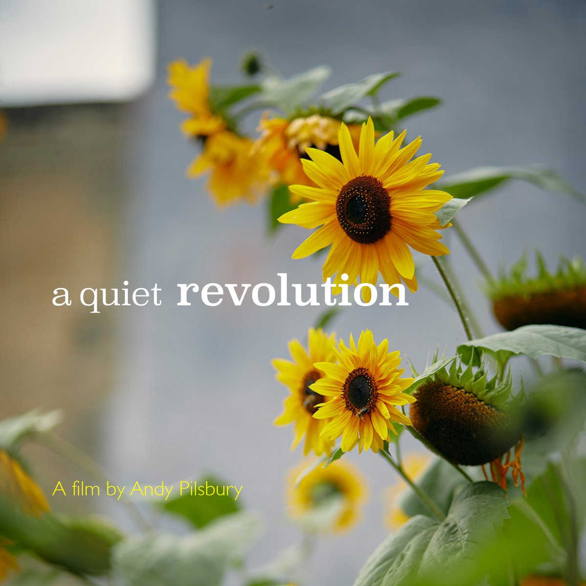 Southeast England Seed Sovereignty tweet media