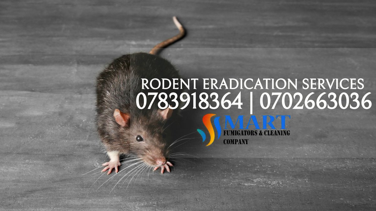 TelosEntUG's tweet photo. Rodent Eradication Services | Bat Eradication Services | Snake Eradication Services .Call on 0783918364 / 0702663036 . #FUMIGATIONSERVICES https://t.co/y4jP68qom9