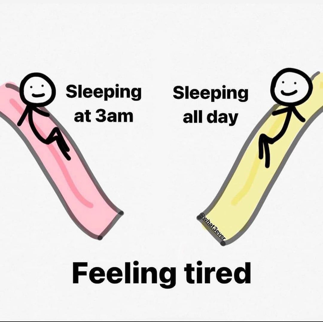 book of curse tweet media