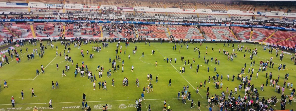 El Míster tweet media