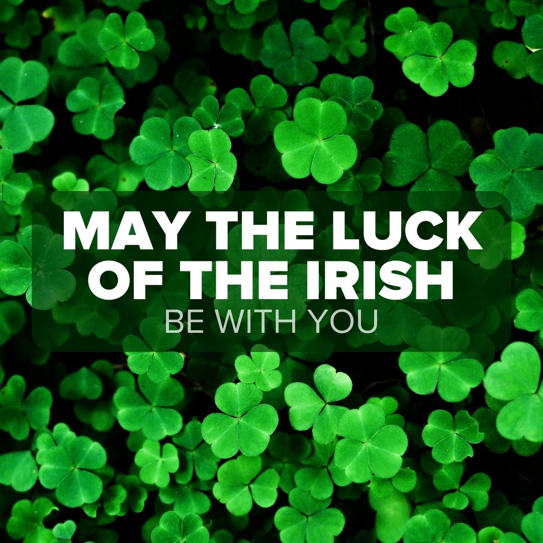 csflorist's tweet photo. Surround yourself in green this #StPaddysDay! From flourishing bouquets to plants, we make it easy to go green. 🍀 Add #extraluck into your day and check out our festive gifts. 👉 https://t.co/hVav1zToPH https://t.co/yvEN3IoQ7P