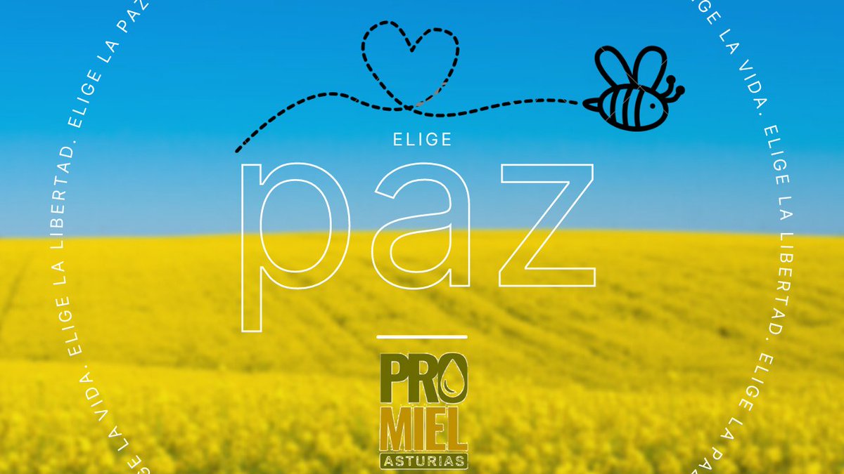 Ojala las #abejas polinizaran #Paz 
#Noalaguerra