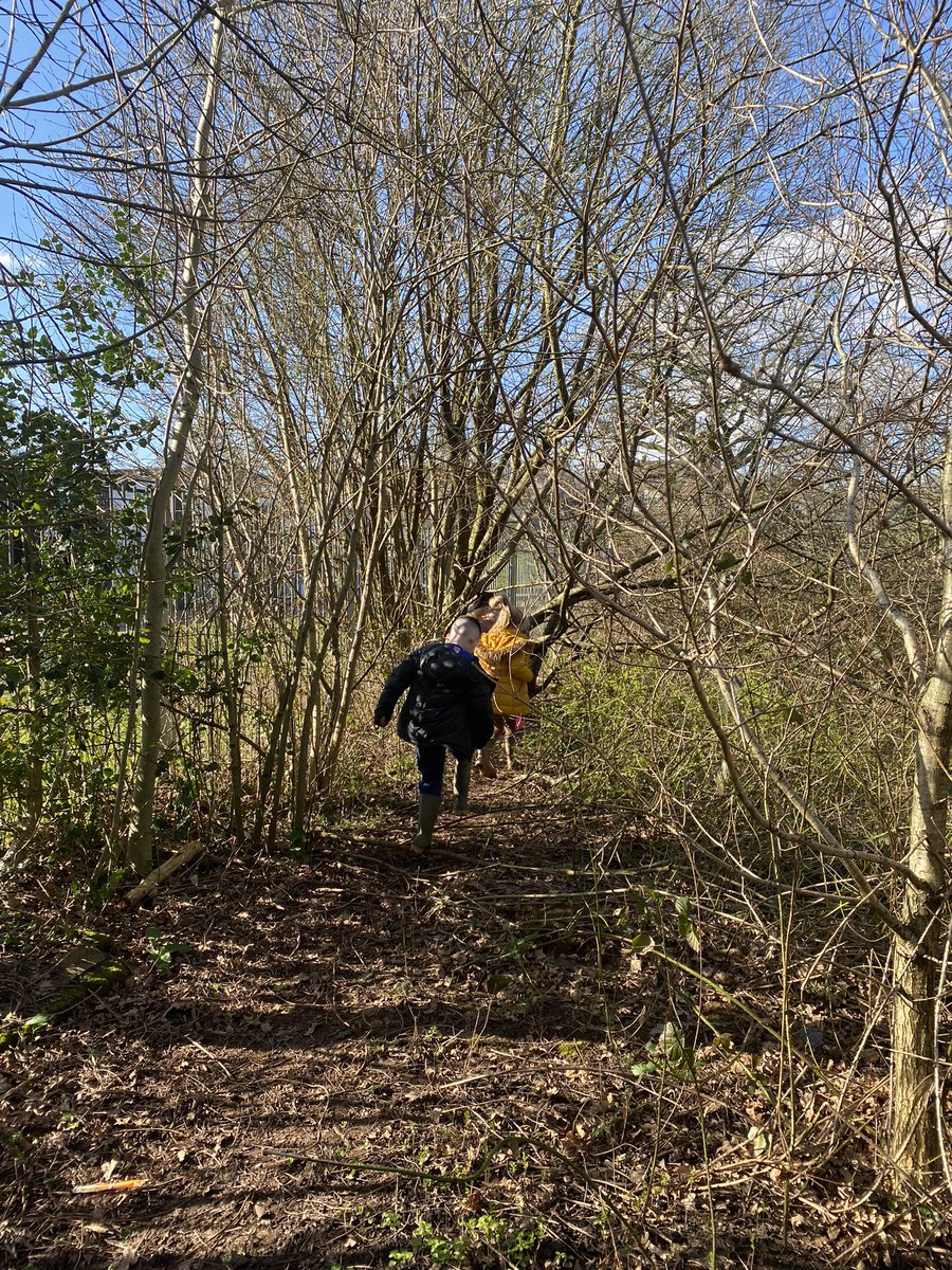 Monnow_Primary's tweet image. #DosbarthOpal out in Forest School this afternoon collecting materials to build our sustainable home for Barnabus! #Wellbeingday @EAS_EarlyYears @EAS_Equity @EAS_STEM