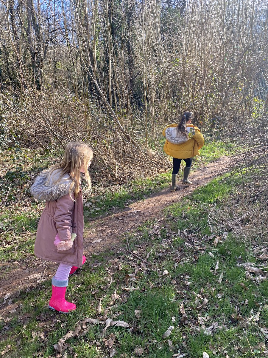 Monnow_Primary's tweet image. #DosbarthOpal out in Forest School this afternoon collecting materials to build our sustainable home for Barnabus! #Wellbeingday @EAS_EarlyYears @EAS_Equity @EAS_STEM