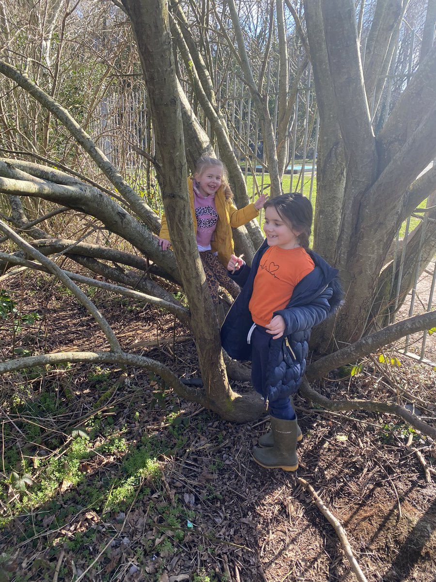 Monnow_Primary's tweet image. #DosbarthOpal out in Forest School this afternoon collecting materials to build our sustainable home for Barnabus! #Wellbeingday @EAS_EarlyYears @EAS_Equity @EAS_STEM