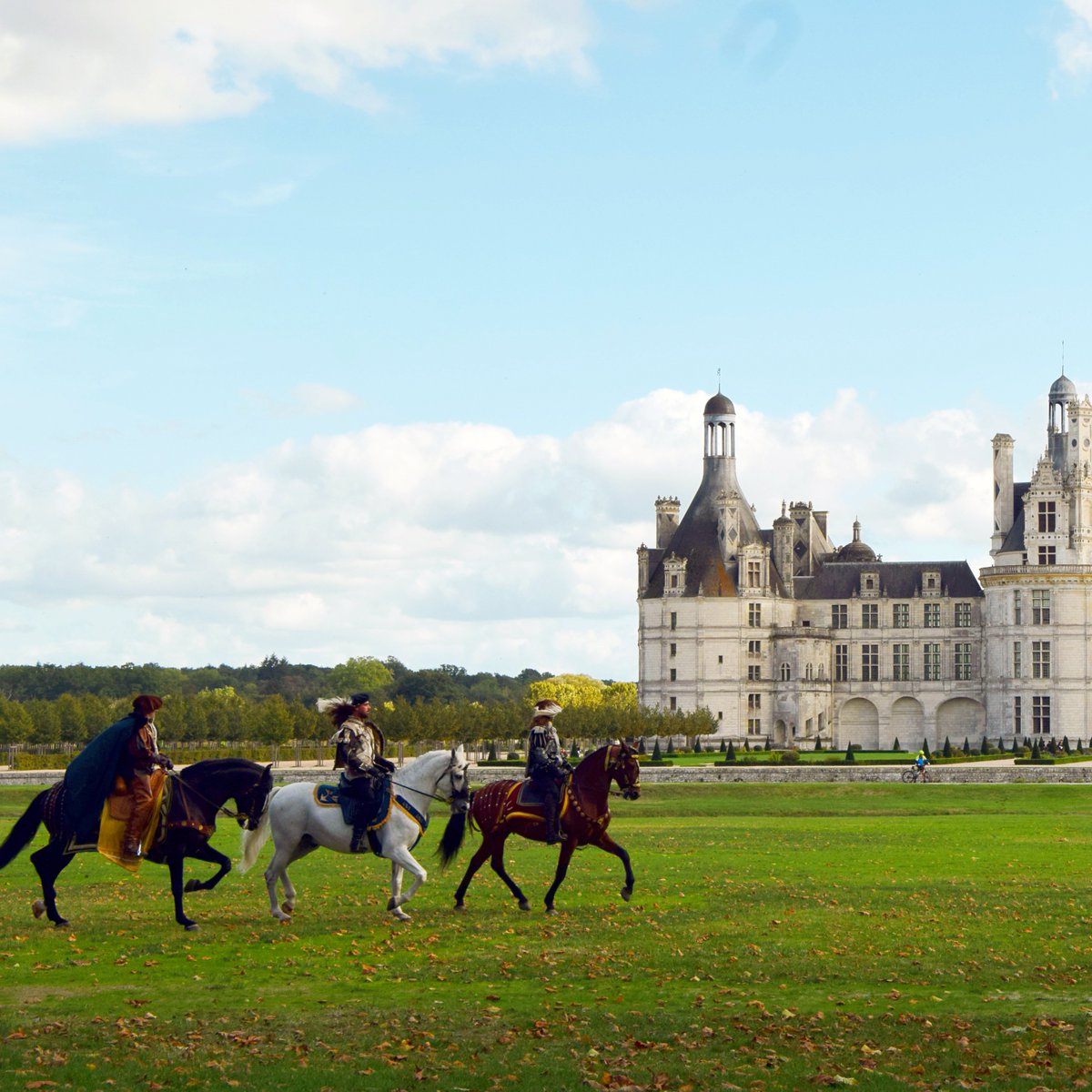 domainechambord's tweet photo. ⚜️Retour du spectacle équestre dans quelques semaines ! Venez découvrir l'Histoire de François 1er. 
Réservation : https://t.co/yDyGyWopSk
#MondayMotivation #LundiMotivation https://t.co/WegpbR7rNX