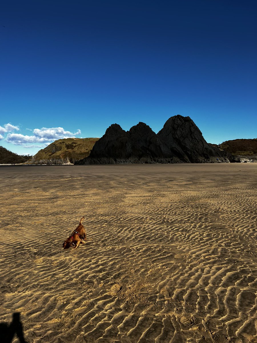 ChrisandRay's tweet photo. @LindaDaviesAuth 3 cliffs Bay this morning  xx https://t.co/Z1Zjc2lEF6