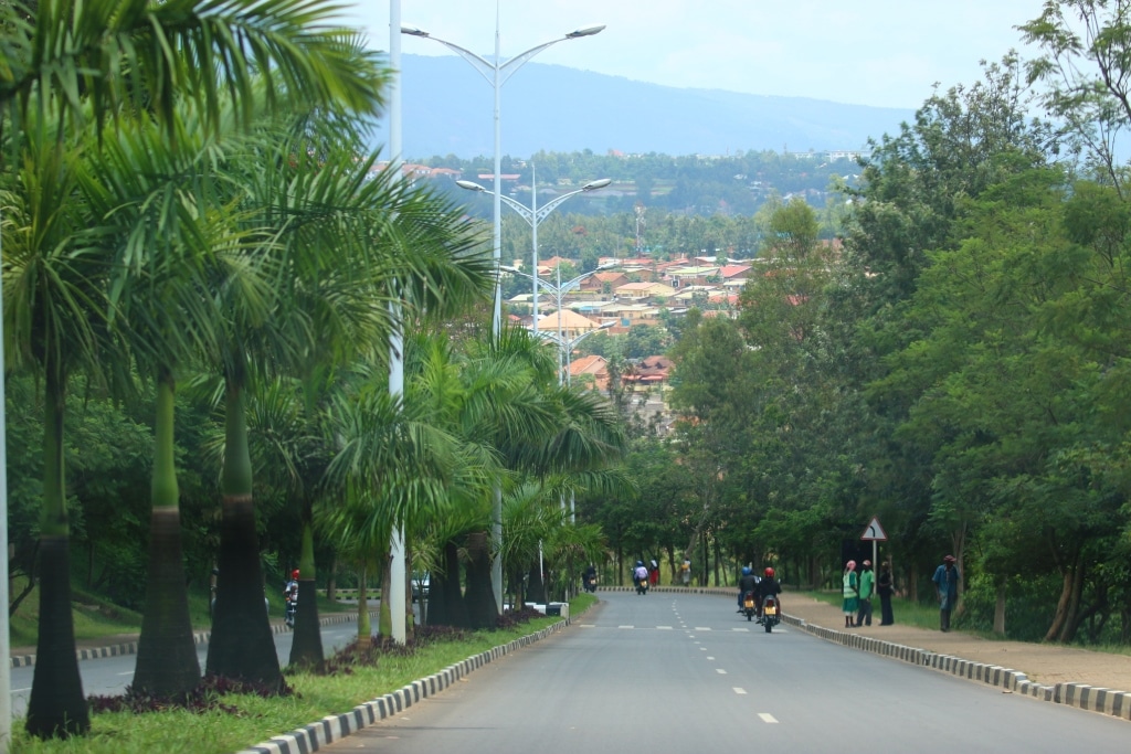 SylionM's tweet photo. @CityofKigali urban trees and vegetation are  first class air filters, They do play a vital role to remove and disperse any pollutants particles from the Kigali air.
 Hygiene, Air quality and Human Health is at the top level in #Kigali 
@FAO @UNEP @visitrwanda_now @CHOGM2022 https://t.co/UO8pODMmqe