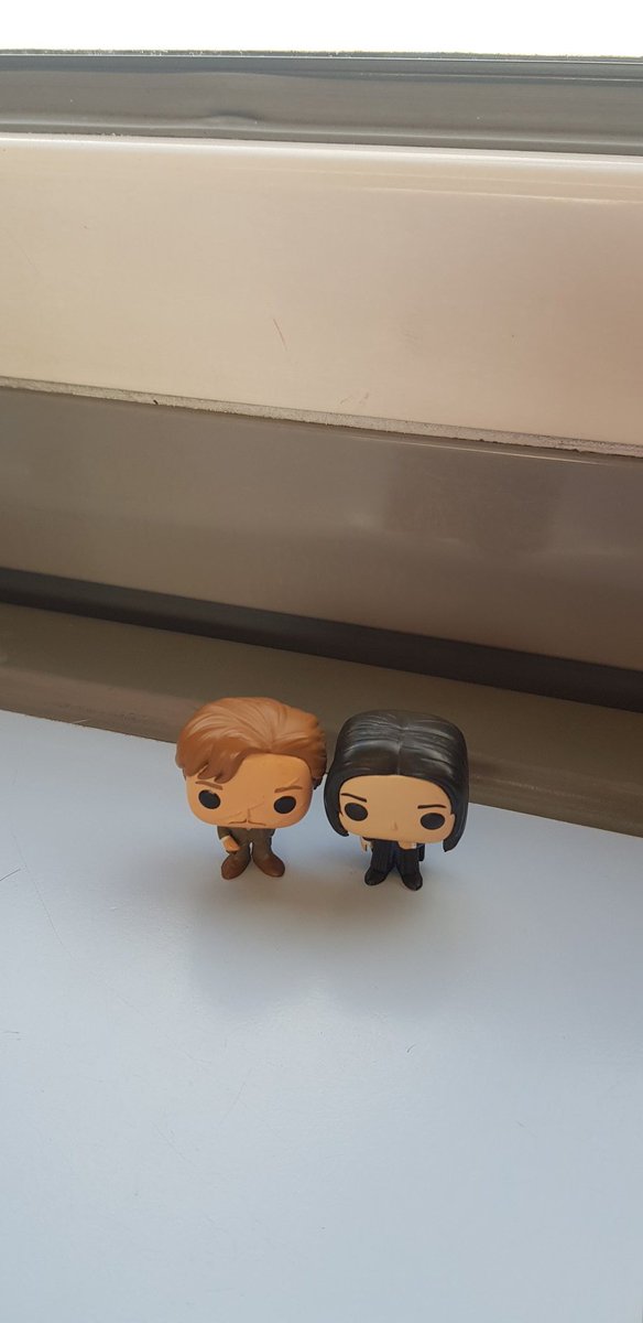 annaonthemoon's tweet photo. #MiniBev and #MiniPicard are looking forward to travel. #MiniSnape is grumpy. https://t.co/JDQ3V001TS