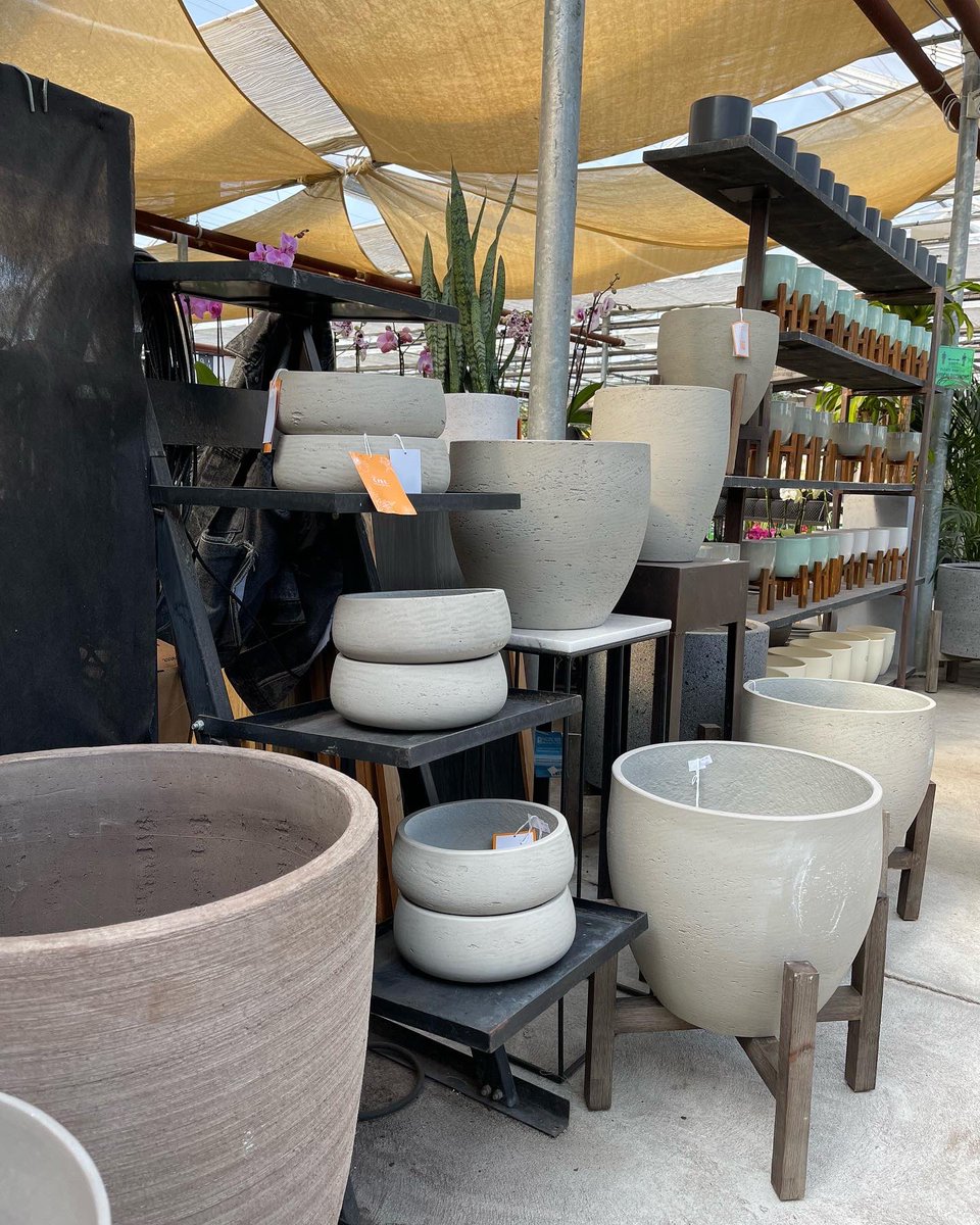 ValleyviewG1970's tweet photo. LOVE all the #neautral tones in our containers this year! The cool tones match any decor and allow for the #plant to be the focal point 🪴Let your plants shine 💚 #containers #planters #homedecor #plantdecor #neautraldecor #neautralstyle #plantstyling #plantstyle https://t.co/GE4qOb1RsY