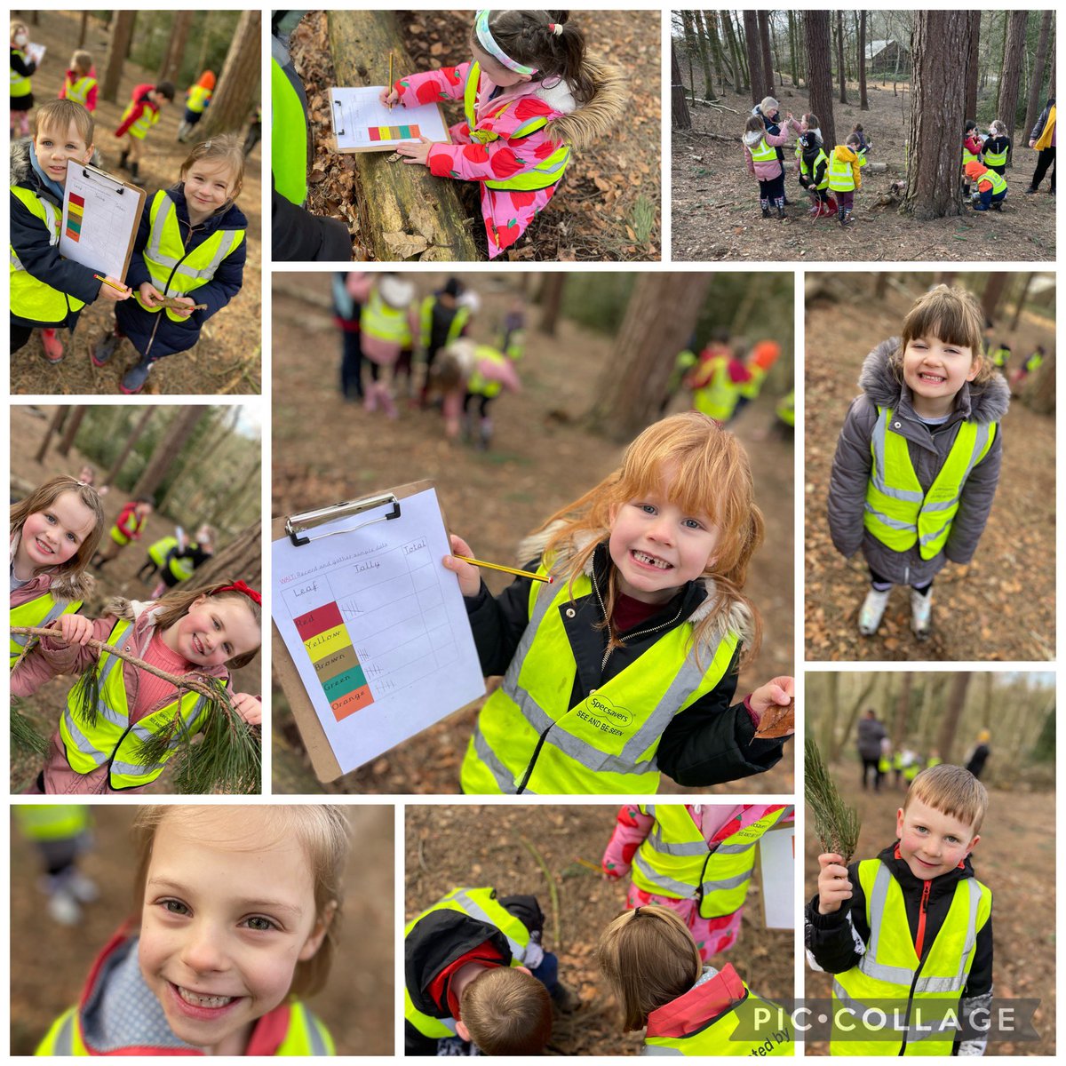 BarntonMrsF's tweet photo. What fun we’re having in the forest! We’ve completed a tally of the different colour leaves we’ve found, to compare it to when we visited the forest in November. What colour leaves will we find now it’s Spring? 🍁🍂 @BarntonMrsL @BarntonMissB_ @BarntonMrsSc #BCNPScience https://t.co/AXQ5lNwmgH