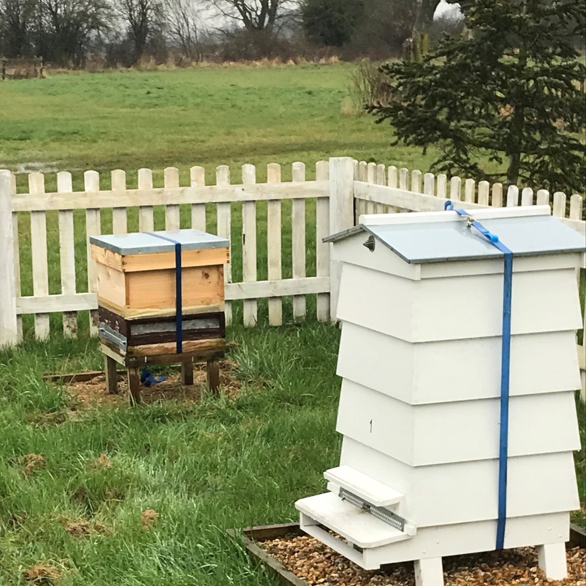 Jennings_'s tweet photo. Another few thousand tenants join Monument Park 😉
Excited to be able to provide a home for a colony, from a fellow local bee-keeper 🐝🐝🐝
#honeybees #savethebees #environment #beekeeping
#monumentpark #oxfordshire #supportingtenants #businesspark https://t.co/aiOYUwBRPZ