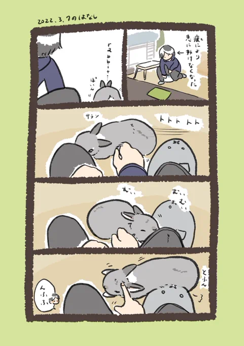 今日のrabbit…
#うさぎのいる生活 