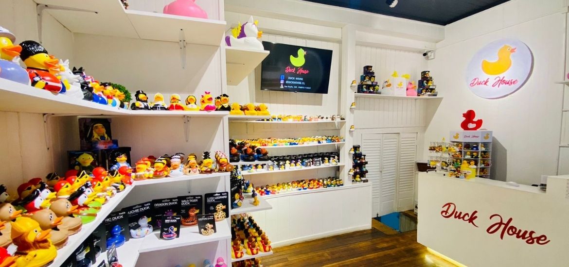 Conoce el éxito de nuestro cliente #Duckhouse Puerto Varas 💪🏼
#blog #patos #tienda #negocio 

bsale.cl/article/conoce…