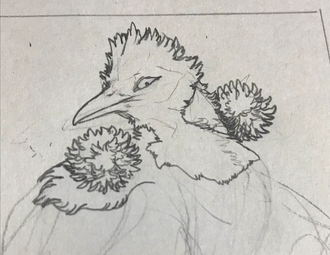 推しの鳥なんですがなんとなくわかった人は私のプロです  肩のポンポンは羽根じゃなくてただのトウゴマ 
