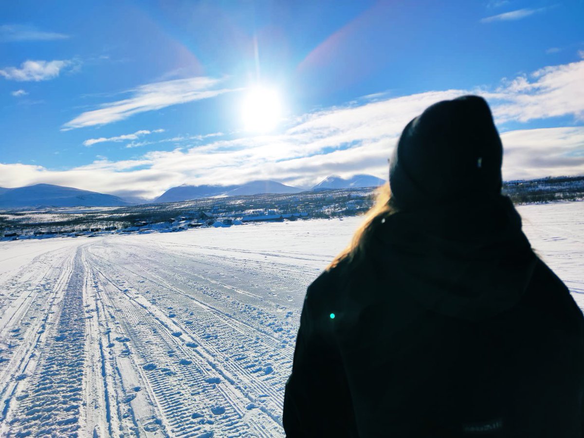 Livsnjuteriet i Abisko just nu🥰