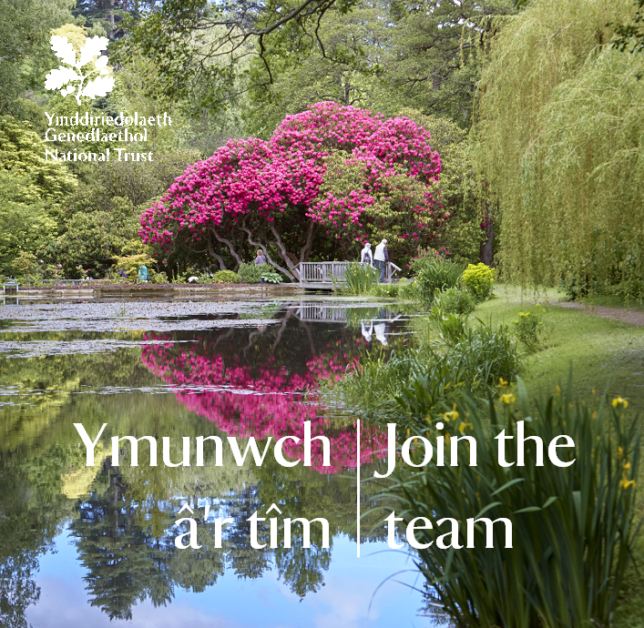 NTCymru_'s tweet photo. We’re looking for a Senior Marketing and Communications Officer at @BodnantGardenNT.

We need someone who can share our stories through engaging content on the website, social media, press and media.

Closing date 13 March; https://t.co/vFoiwxGLmR https://t.co/MGIeNw7cRi