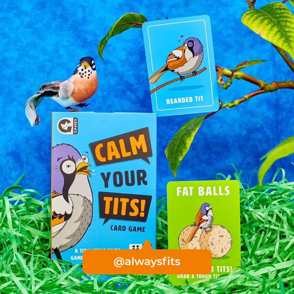 A pack full of hilarious tits 🐦 Find matching pairs to win! Who's in your 'pussy posse'?! Tag them! 🐱👇 📷: <a href="/alwaysfits/">AlwaysFits.com</a> #gingerfox #gingerfoxgames