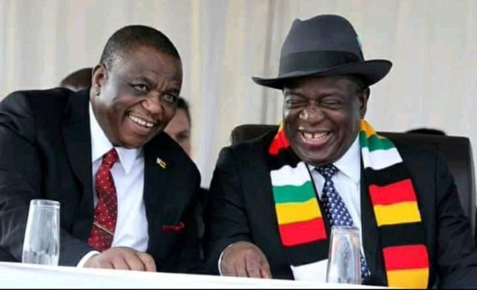 🇿🇼 ZANU PF PATRIOTS 🇿🇼 tweet media