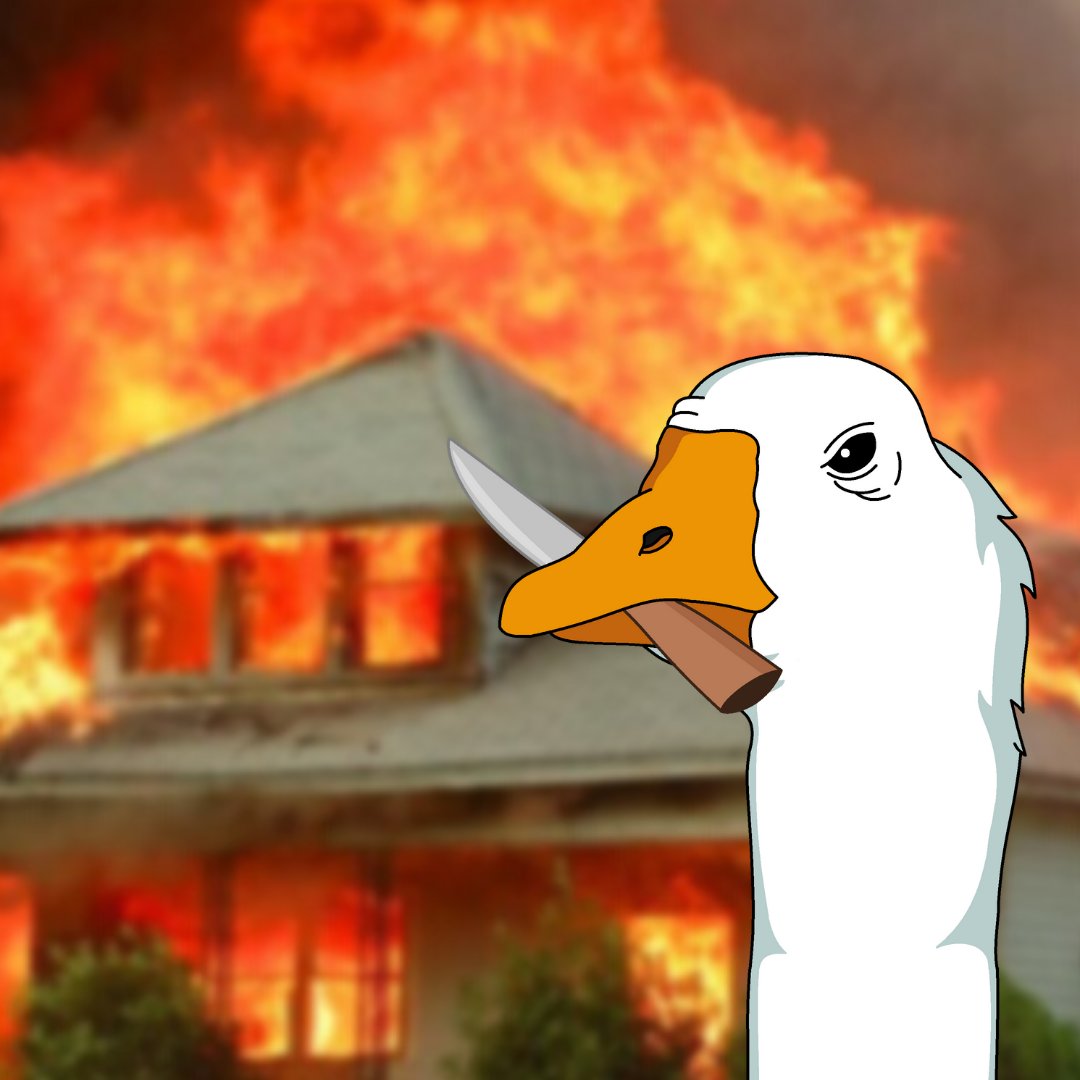 Spread the Goose word or murder goose will find out...

Alternatively, you could catch murder goose before the damage is done - opensea.io/assets/matic/0…

#NFT #NFTs #Goose