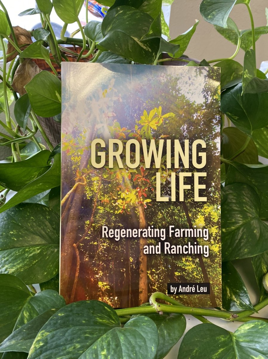 AcresUSA's tweet photo. Today's feature is "Growing Life" by André Leu. Find this book – plus other eco-farming titles – at our online bookstore: https://t.co/zF8GbEw8BR

#acresusabooks #regenerativeag #sustainablefarming @Andreleu1 https://t.co/rouOHWbatY