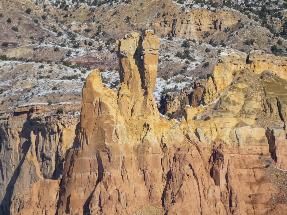 NewMexicoNomad tweet media