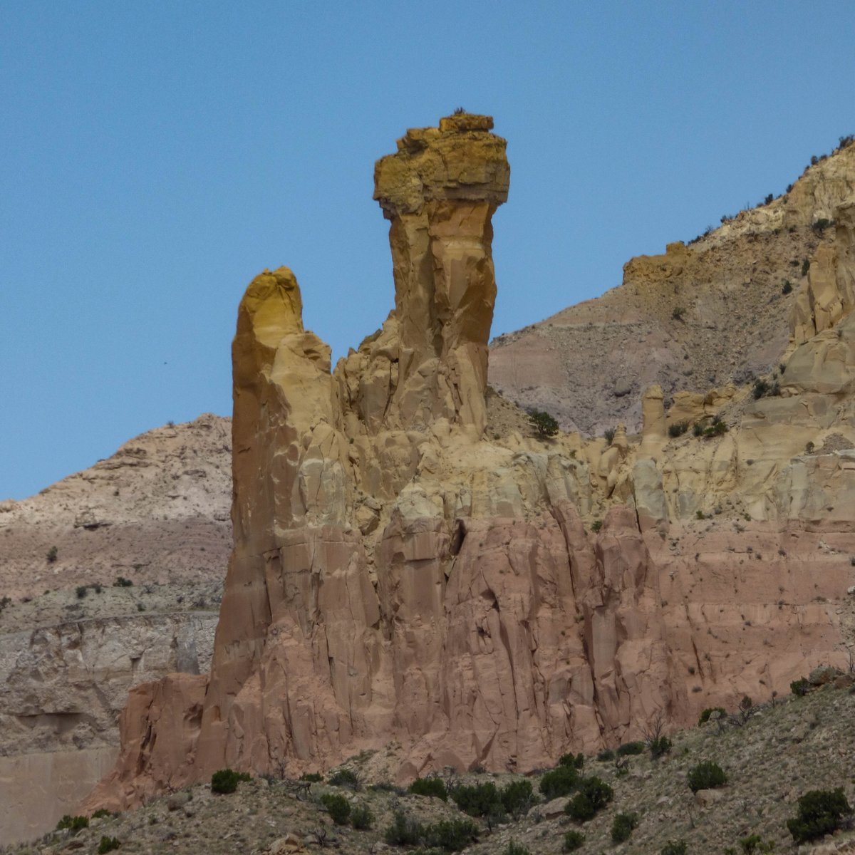 NewMexicoNomad tweet media