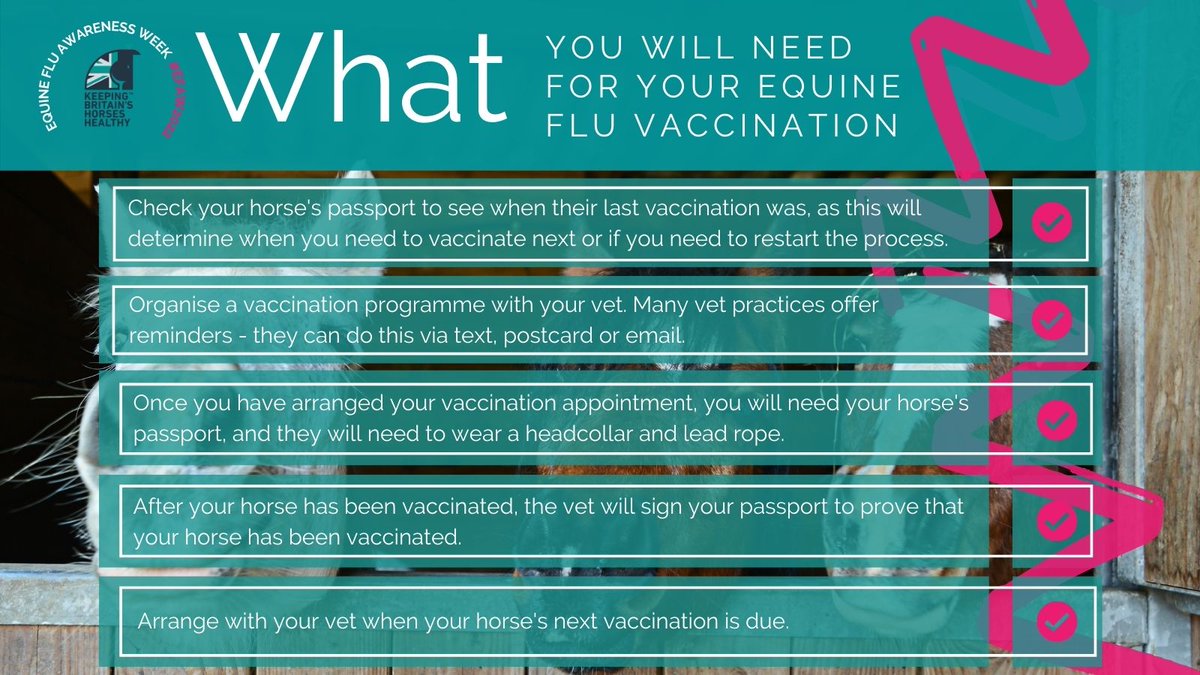 Rainbow Equine Hospital (@reh_vets) on Twitter photo 