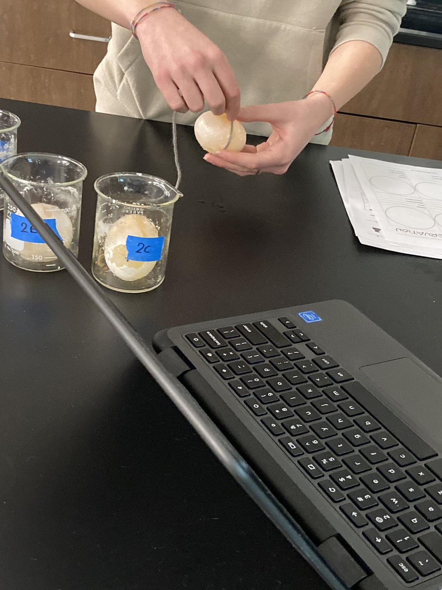 KrystalBare1's tweet photo. Osmosis lab #tonicity #apbiology @EatonHighSchool https://t.co/Z50kOyCy5c