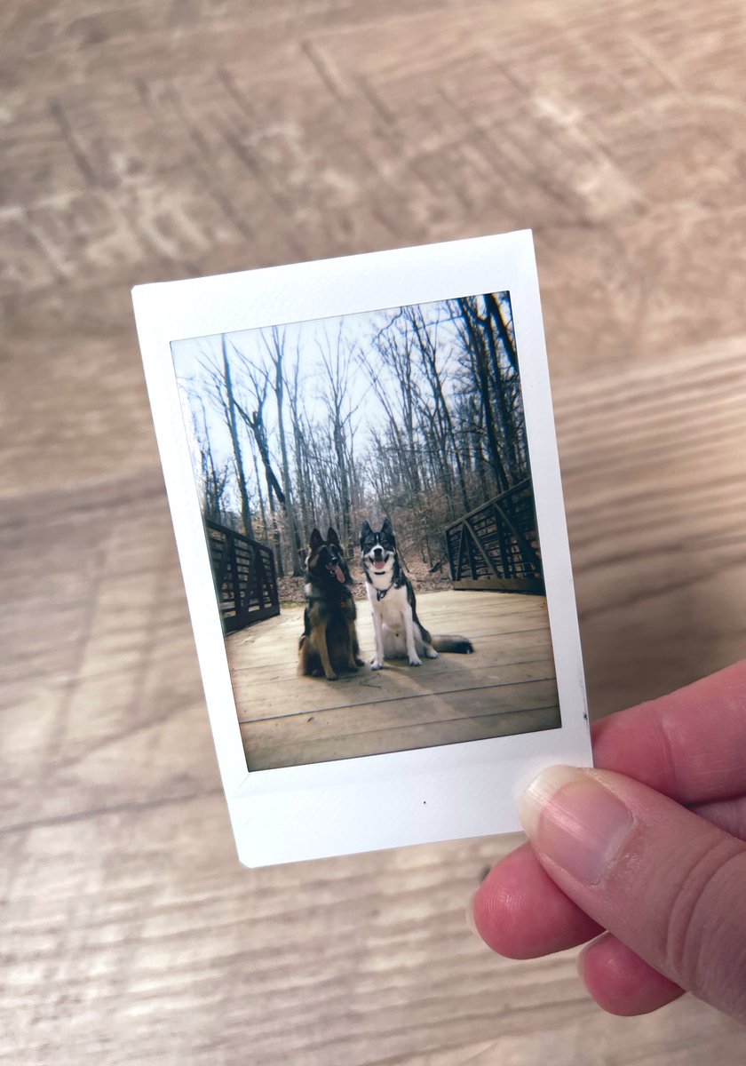 The Sibe + The Terv tweet media