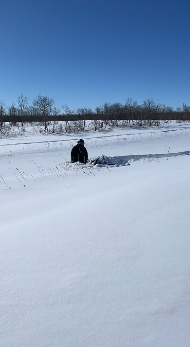 Dave Ives tweet media