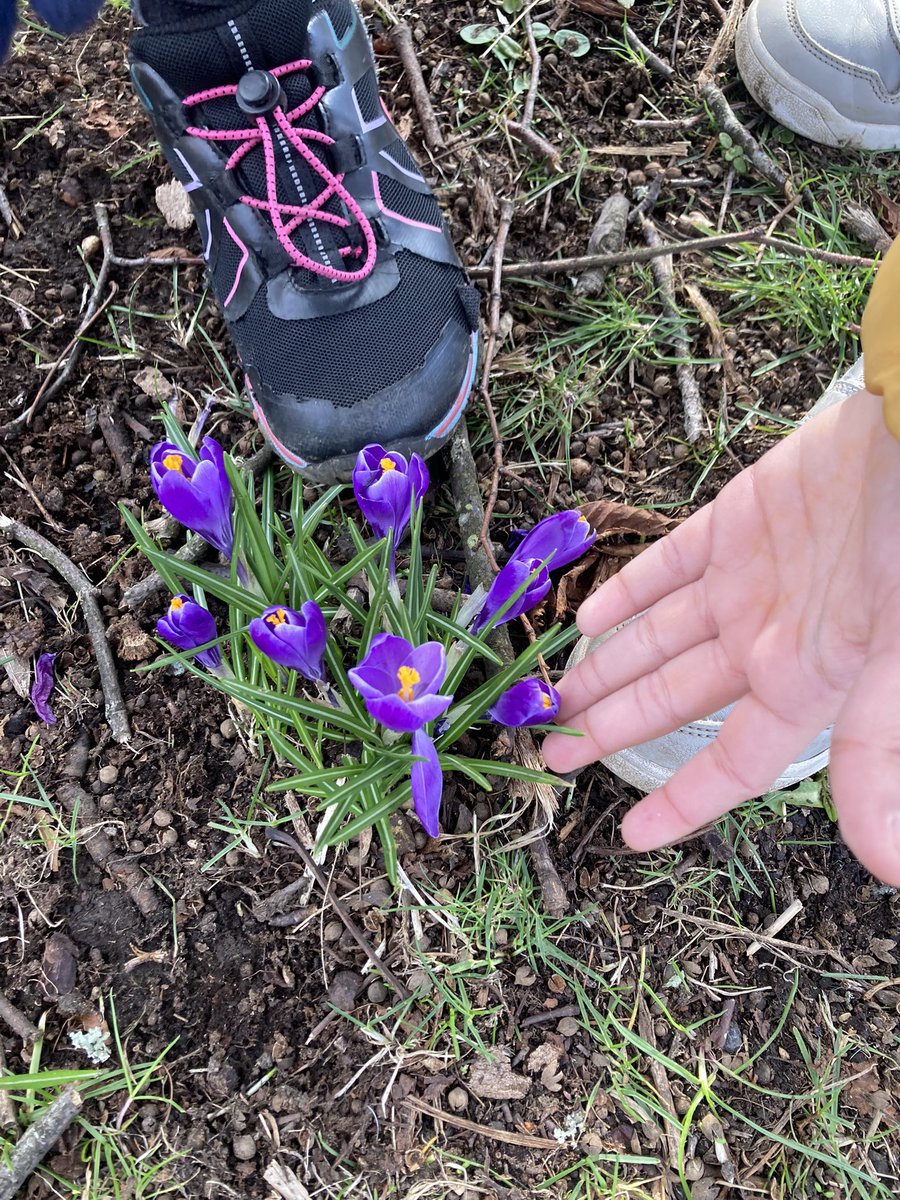 ibroxprimary's tweet photo. A Spring Hunt 🌼 #BellaPark #Somanychanges 🌼😀🌱 https://t.co/n2BcaHDVV9