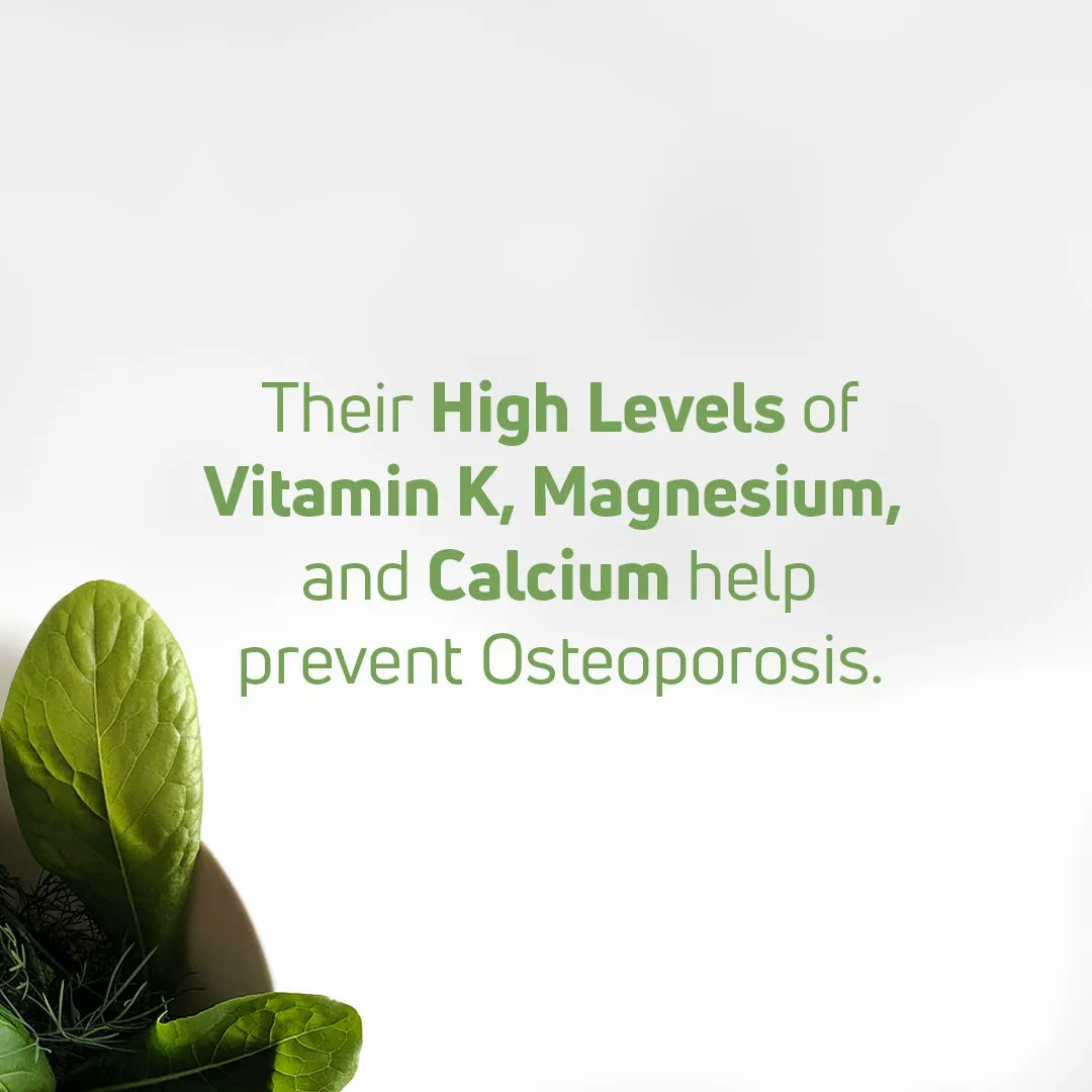 Palmnutrition's tweet photo. Why you should include greens in your diet?
· Great source of nutrition and low in calories.
· Rich in vitamins, minerals, and antioxidants.
· High levels of vitamin K, Magnesium, and calcium.

#PalmNutrition makes it easy to #drinkyourgreens. Pour, stir and sip! https://t.co/iKxfV0Zuii