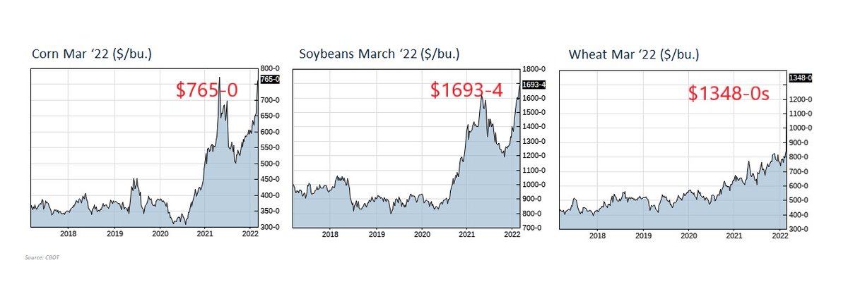 NevadaZinc's tweet photo. Fertilizers, incl. zinc sulfate, prices historically follow grain prices. Grain prices hit multi-decade highs. NPK and micronutrient fertilizer prices spike. A locally produced zinc sulfate fertilizer could not be more timely in this environment.
#zincsulfate #micronutrients https://t.co/0RaoGOoUDZ