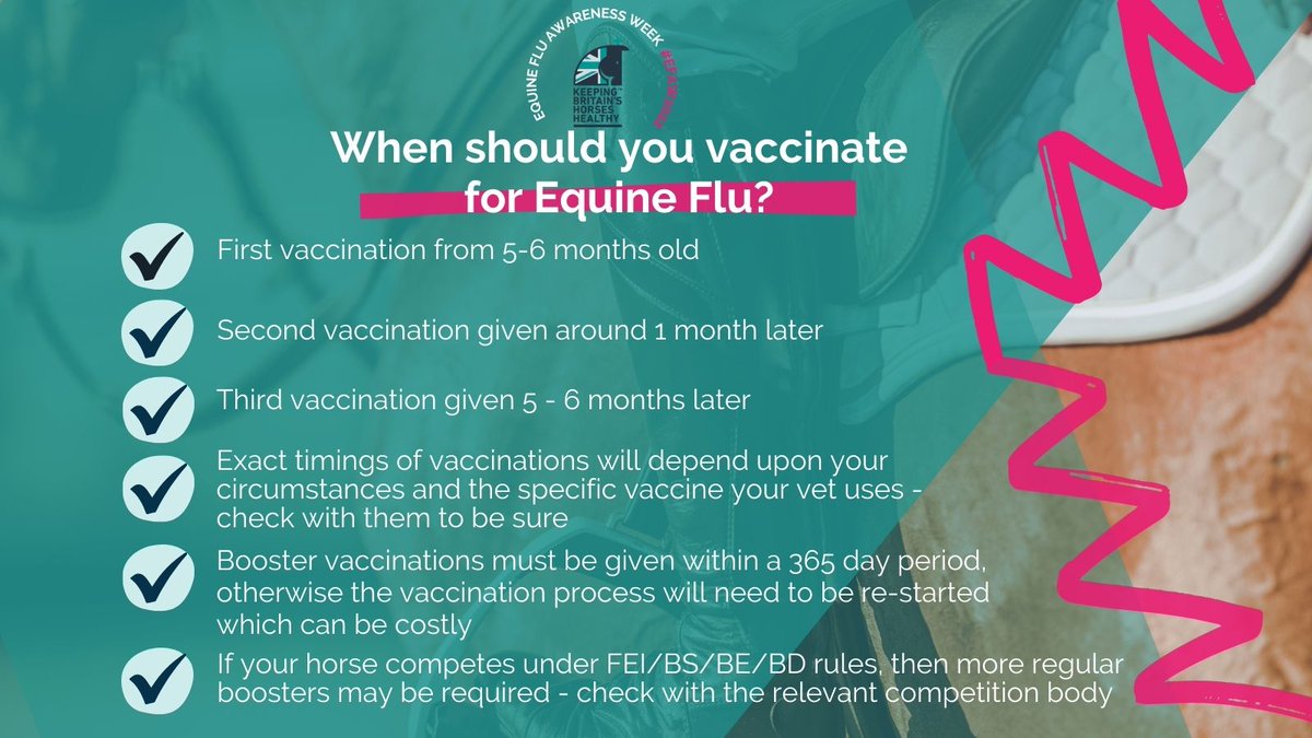 Rainbow Equine Hospital (@reh_vets) on Twitter photo 