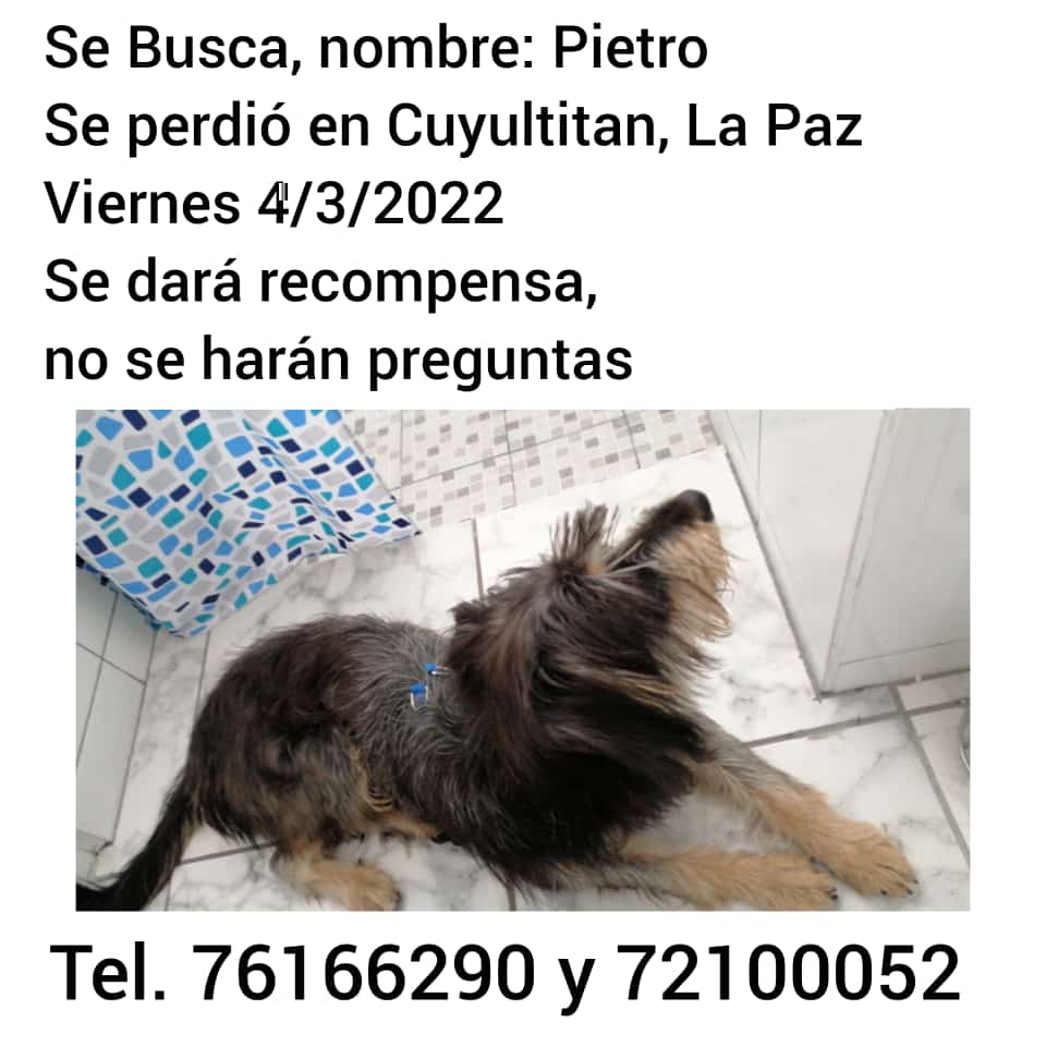 Leti (@benitezleticia9) on Twitter photo 