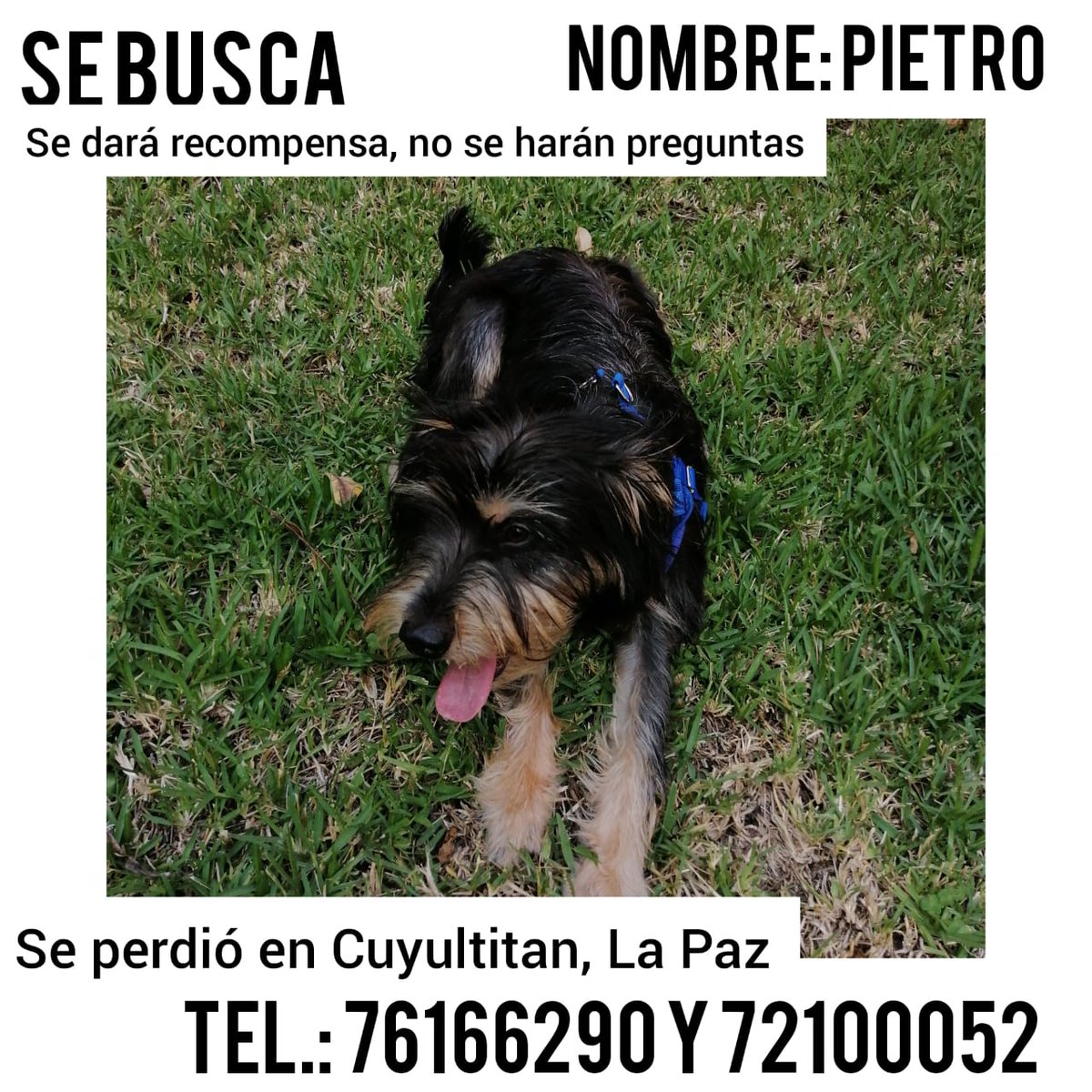 Leti (@benitezleticia9) on Twitter photo 
