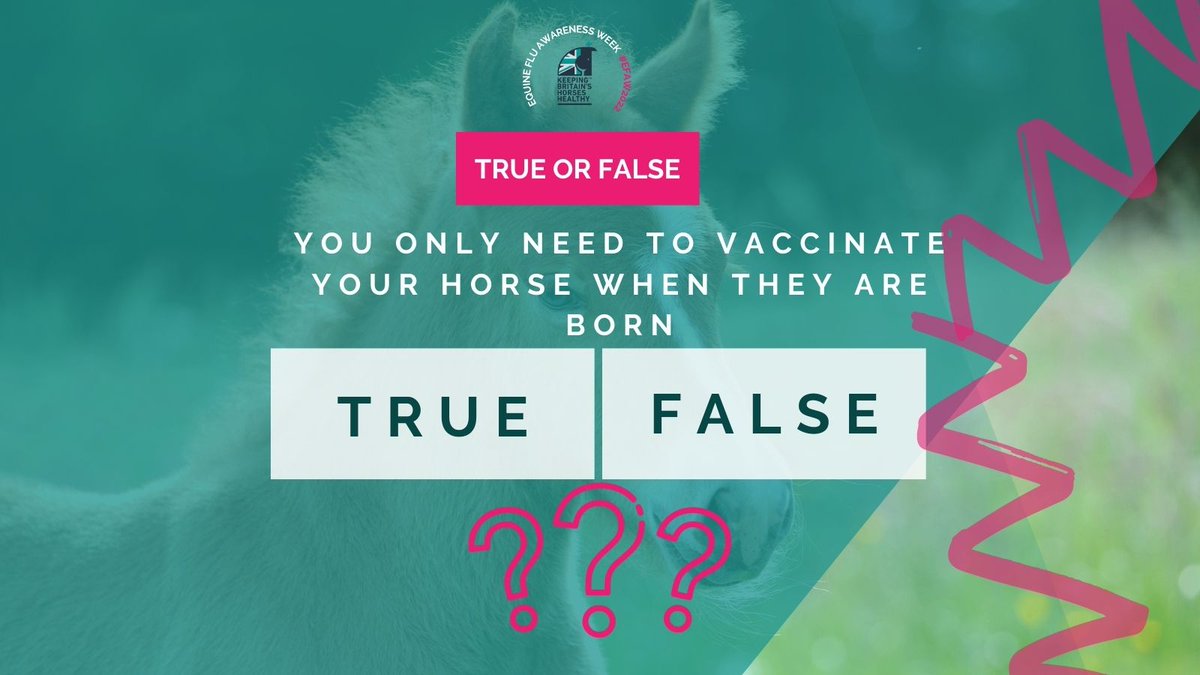 Rainbow Equine Hospital (@reh_vets) on Twitter photo 