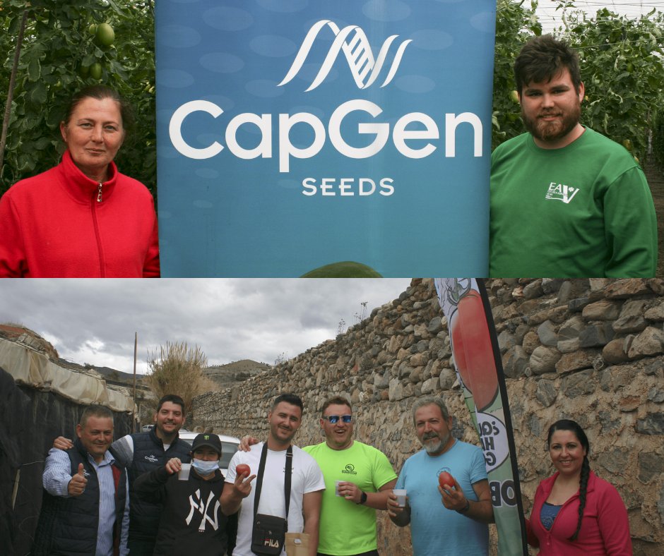 CapgenSeeds's tweet photo. La semana pasada estuvimos en Castell del Ferro en nuestra jornada de puertas abiertas presentando el #tomatepera Obelix.🌱🍅

Los asistentes quedaron impresionados con el #tomateObelix por su gran calibre, producción, uniformidad y resistencia.💪👌

 🌐➡️https://t.co/wA1KNS42dY https://t.co/mzjyzp7IQb