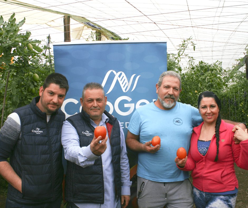 CapgenSeeds's tweet photo. La semana pasada estuvimos en Castell del Ferro en nuestra jornada de puertas abiertas presentando el #tomatepera Obelix.🌱🍅

Los asistentes quedaron impresionados con el #tomateObelix por su gran calibre, producción, uniformidad y resistencia.💪👌

 🌐➡️https://t.co/wA1KNS42dY https://t.co/mzjyzp7IQb