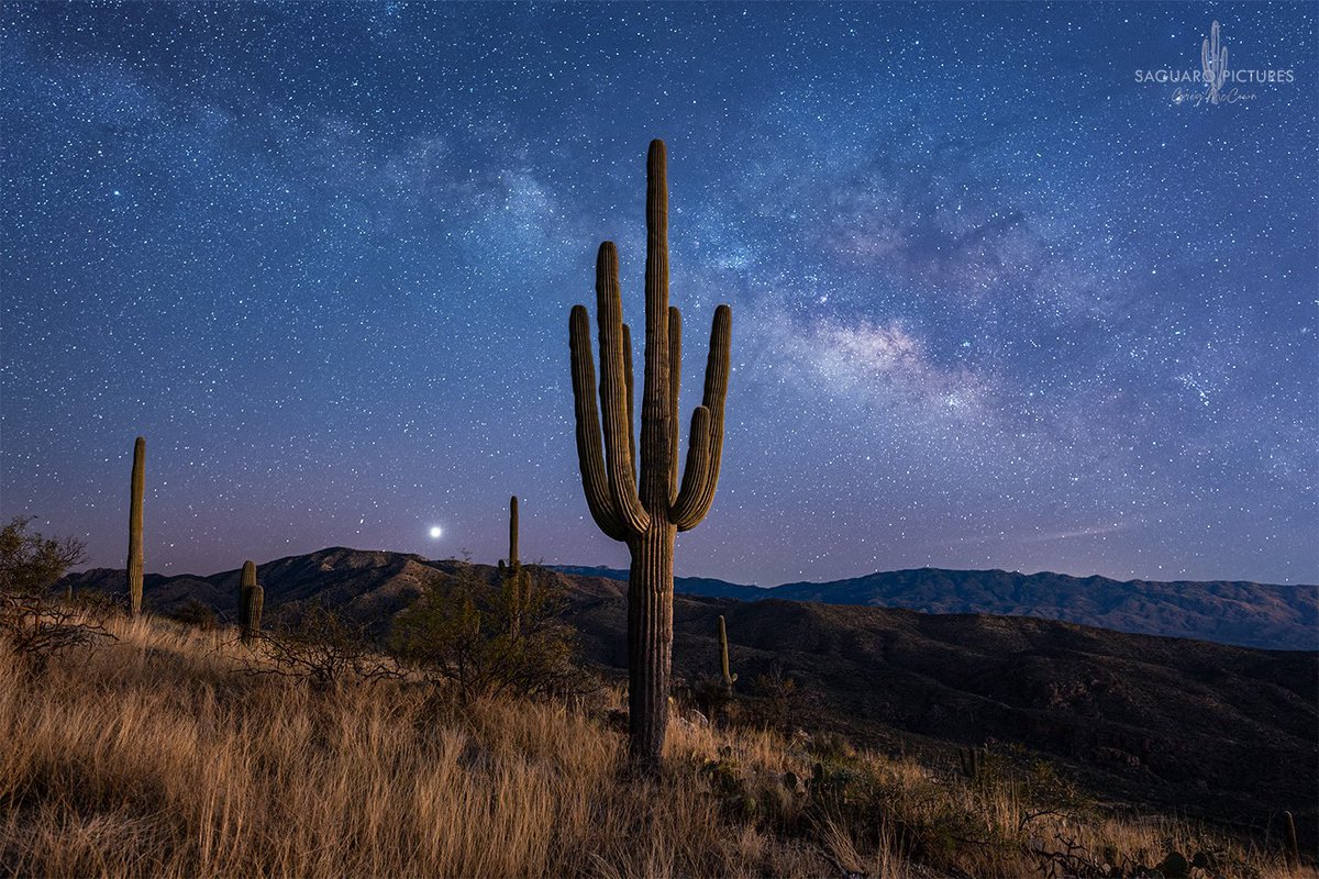 Clear skies, a moonless night, and no wind - I love nights like these. #saguaropictures #tucson #nightscaper