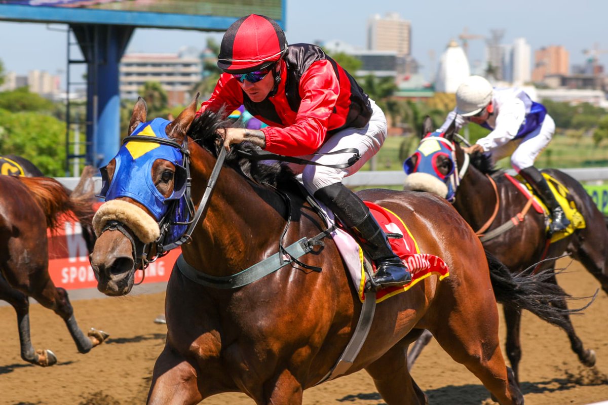 BirchBros_VVS's tweet photo. 🔥Another winner for RED RAY🔥
After a champagne Gr1 win in the SA Classic by Red Saxon,RED RAY on the board again in race 1 at Greyville today.His highly rated daughter STING RAY won impressively for the Kotzen yard @woodhillR & connections. #RedRay #SireOnTheMove #Class https://t.co/3mPoLqaRIU