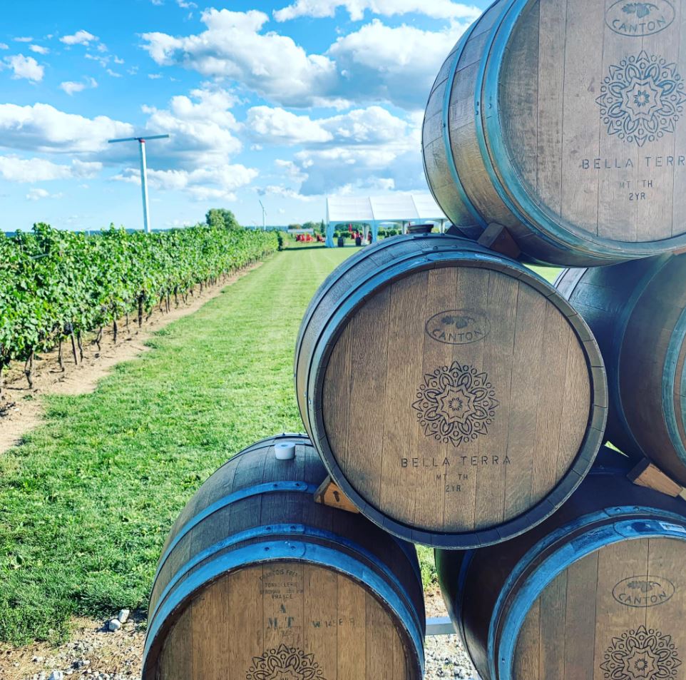 𝗠𝗲𝗲𝘁 𝘁𝗵𝗲 𝗠𝗲𝗺𝗯𝗲𝗿 𝗠𝗼𝗻𝗱𝗮𝘆
Meet family-owned &amp; operated PondView at Bella Terra Vineyards. Spanning three generations of grape growing from Italy to Canada, this winery has a passion for producing world class wines. Visit them today! #ONwine #VQA