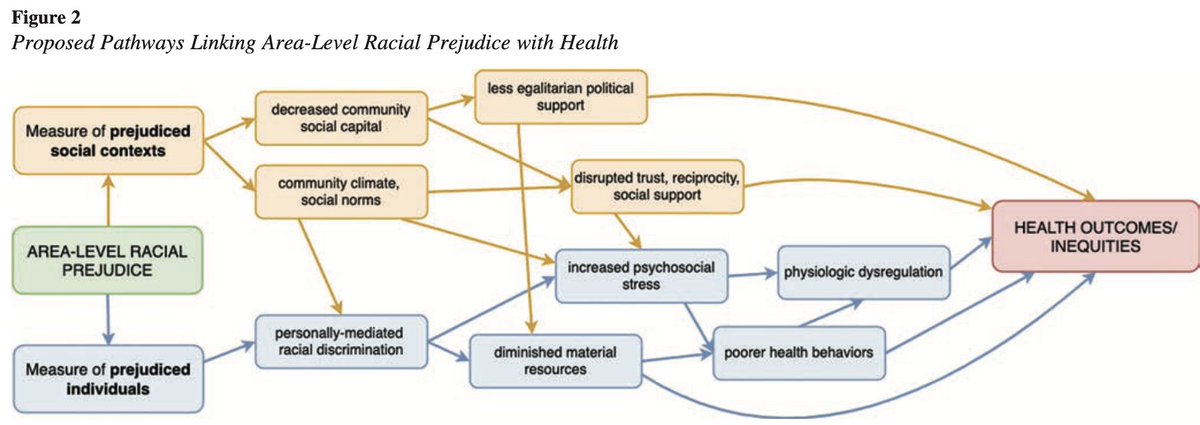 Corinne Riddell tweet media