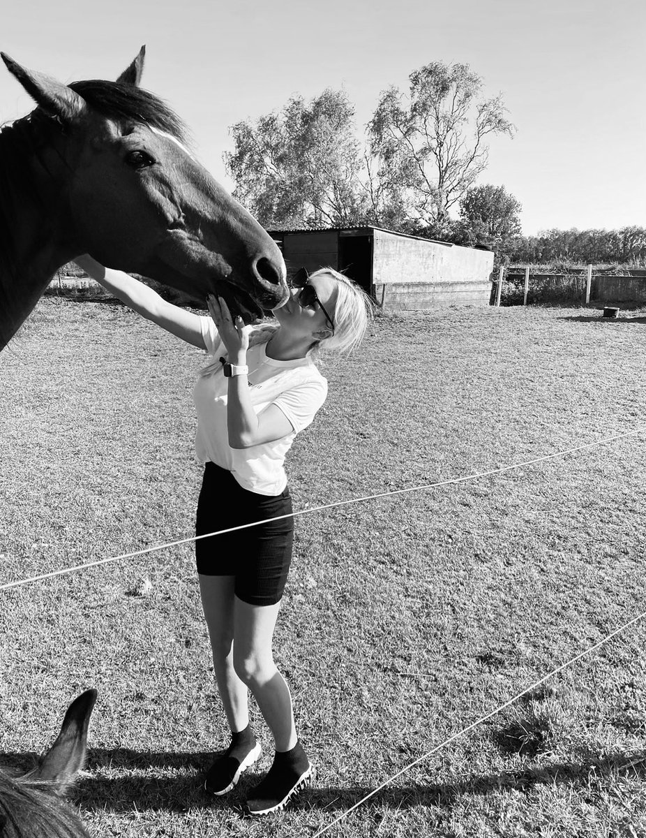 cheanyvdj's tweet photo. Daarboven, tussen al die mooie sterren is er eentje die ik nooit zal vergeten 💫
Wiske 🤍 Mijn eerste paard toen ik 10 jaar oud was. 
Nu 14 jaar later ben je er niet meer..
Ik ga je ontzettend hard missen, maar je blijft voor altijd in mijn hart. 
Ik hou van je mijn sterretje 💫 https://t.co/vFXWNbEdLl