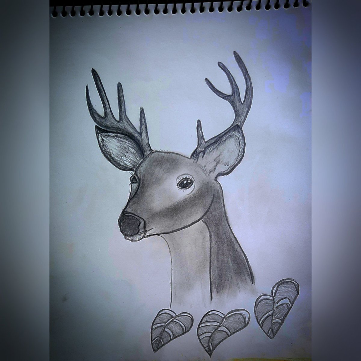 DRAWINGCREATIO3's tweet photo. Deer 🦌  new drawing  . Plz like comment  ..
#Deerdrawing #drawing #GoogleAlerts #sketch #goodmorning #like #flowers https://t.co/x4wlzfd2lE