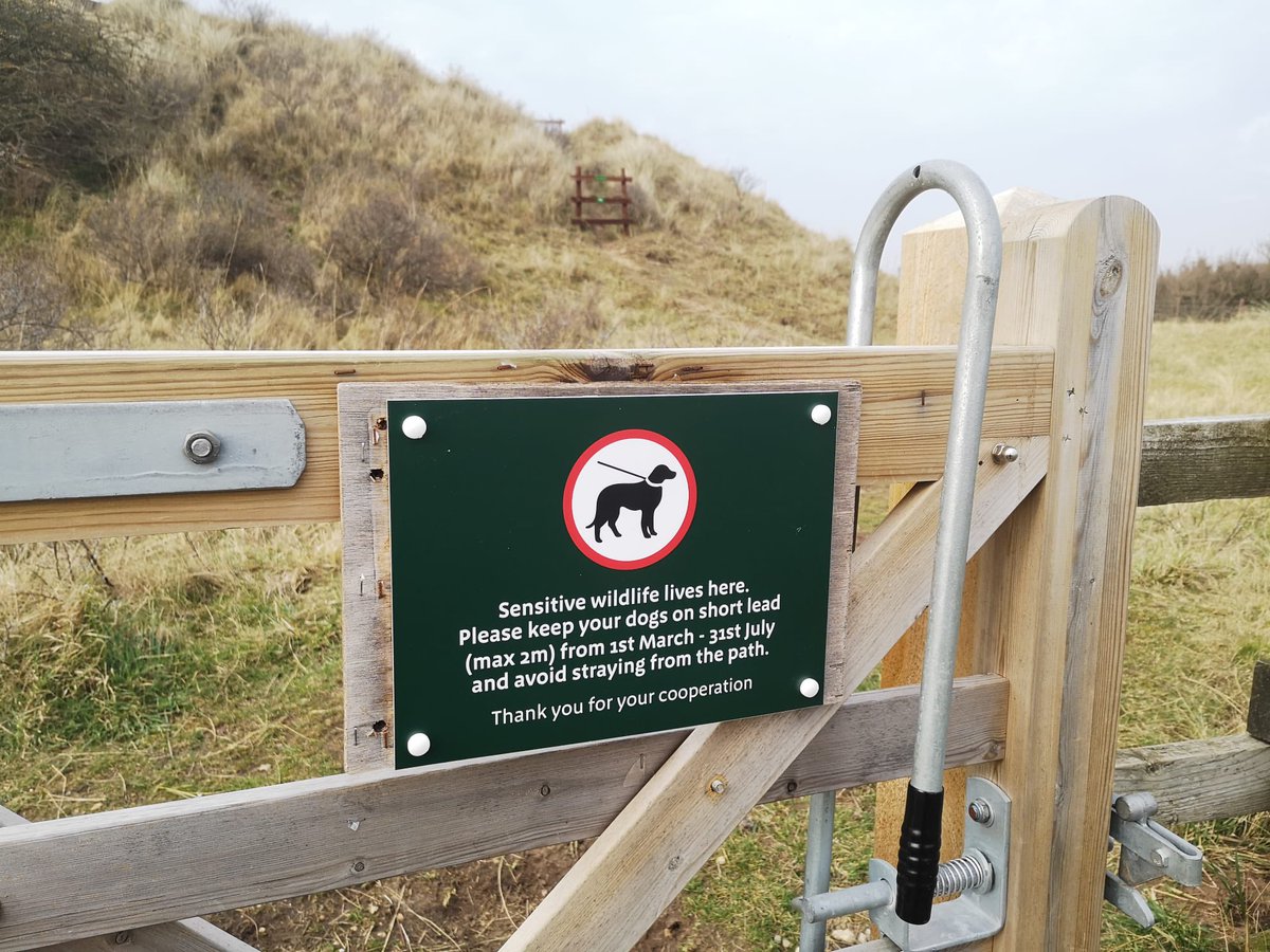 🐶 Do you walk your dog at Saltfleetby-Theddlethorpe NNR?

To help protect rare and specialist wildlife through the breeding season, some areas now have a dogs on leads policy until the end of July. Thank you for helping us to enjoy nature responsibly!