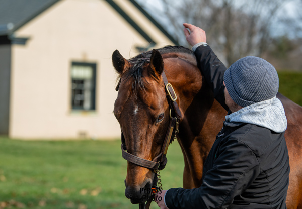 PyroisMedia's tweet photo. The final stallion photo blog of Open House season is up now on #PyroisMedia. Find the link below!
🔗https://t.co/q75eJG3Kkg https://t.co/1pI2cSTI36